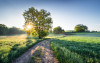 A New Day in Paradise - View 1