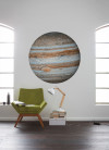 Jupiter - View 1