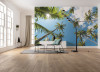 Coconut Heaven II  - View 1