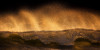 Golden Wave - View 1