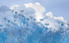 Blue Sky II - View 1