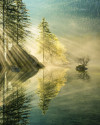 Indulgence of Beauty - View 1