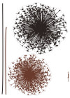 Pusteblume - View 1