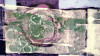 Lemon Peely rose - View 1