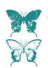 Farfalle - View 1