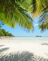 Under The Palmtree - View 1