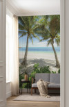 Palmy Beach - View 1