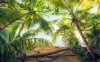 Piratenversteck - View 1