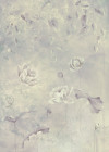 Water Lily - View 1