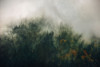 Tales of the Carpathians - View 1