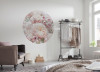 Pink and Cream Roses - View 1
