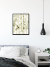 Wild Bamboo