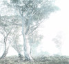 Magic Trees - View 1