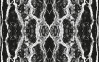 Oak Bark black-white - View 1