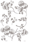 Bellissima - View 1