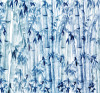 Bamboos - View 1