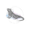 Iguana Watercolor