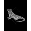 Iguana Black