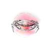 Crab Watercolor