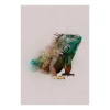 Animals Paradise Iguana