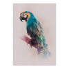 Animals Paradise Parrot