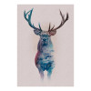 Animals Forest Deer