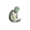 Cute Animal Turtle