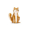 Cute Animal Dog