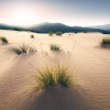 Vivid Dunes
