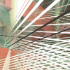 Space Grid Autumn