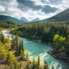 Wild Canada