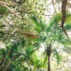 Touch the Jungle 