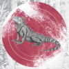 Iguana Circle