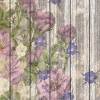 Vintage Rose