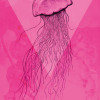 Jellyfish Pink