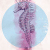 Sea Horse Circle