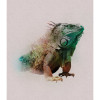 Animals Paradise Iguana