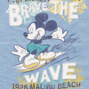 Mickey Brave the Wave