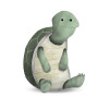 Cute Animal Turtle