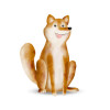 Cute Animal Dog