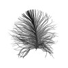 Feather White