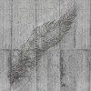 Concrete Feather