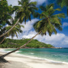 Tropical Sea