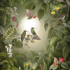 Wildlife Birds