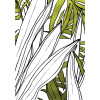 Bleached Leaves