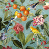 Birds and Berries