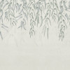 Branches