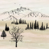 Backcountry