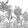 Savanna
