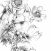 Embroidery